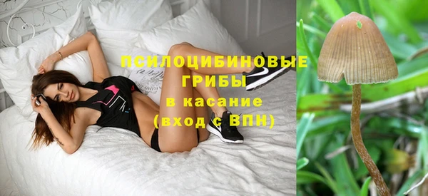 крисы Алапаевск