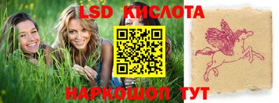 Альфа ПВП Краснознаменск