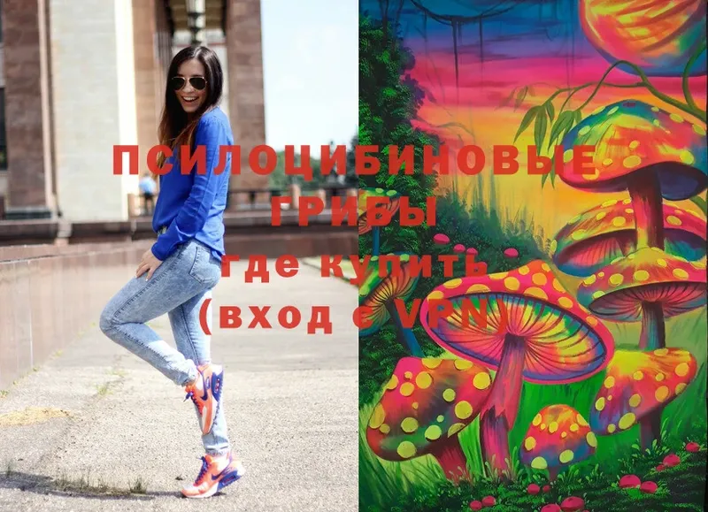 как найти наркотики  Балтийск  OMG   Галлюциногенные грибы Cubensis 