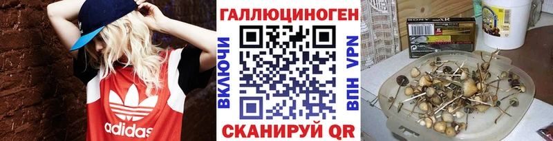 Псилоцибиновые грибы ЛСД Балтийск