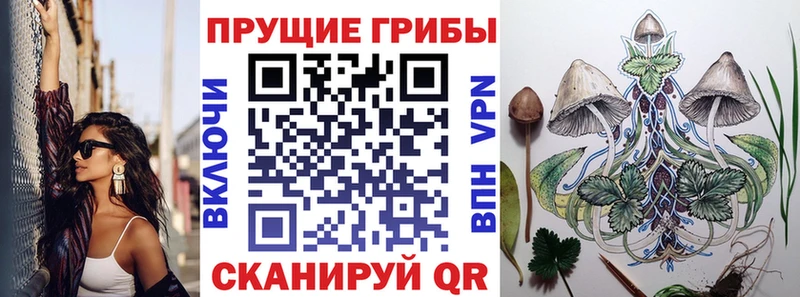 сколько стоит  KRAKEN маркетплейс  нарко площадка официальный сайт  Балтийск  Псилоцибиновые грибы мицелий 