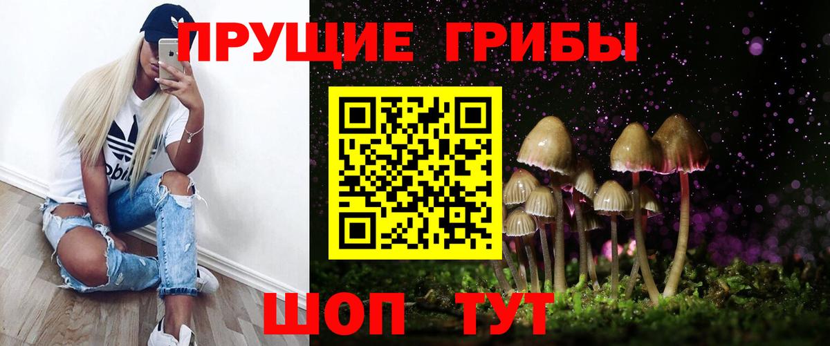 Галлюциногенные грибы мухоморы Балтийск